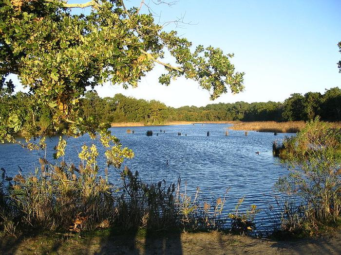 Site des Quinconces-Andernos